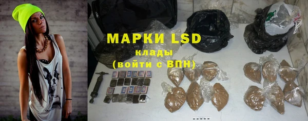 индика Алексин