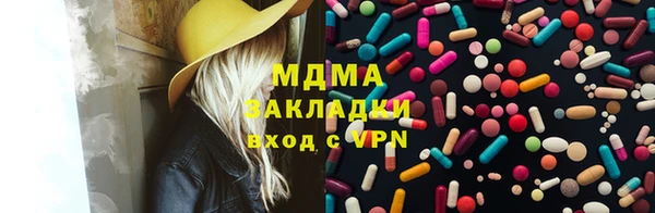 индика Алексин