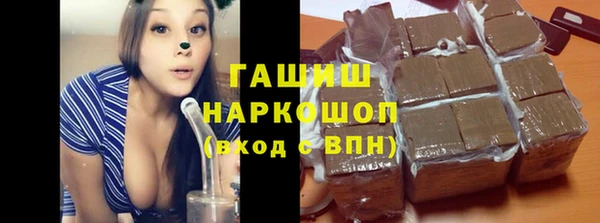 индика Алексин