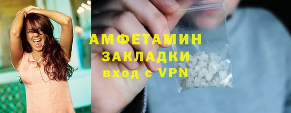 индика Алексин