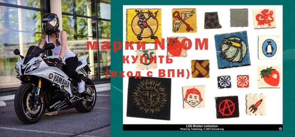 индика Алексин