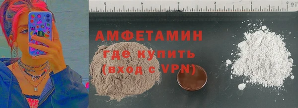 индика Алексин