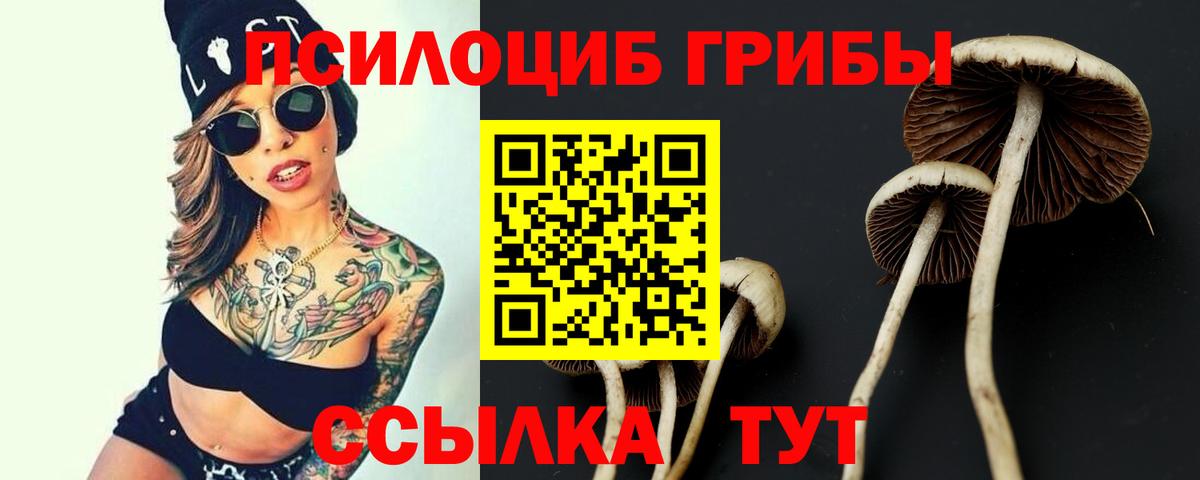 Нарьян-Мар  купить  цена  Вход с VPN  Псилоцибиновые грибы Cubensis 