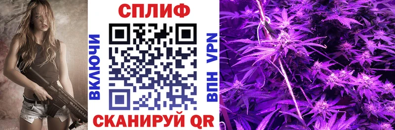 Конопля сатива купить наркотики сайты Нарьян-Мар